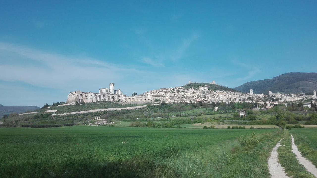 דירות אסיסי Casa Del Frate מראה חיצוני תמונה